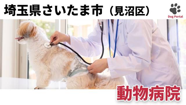 さいたま市見沼区のペットホテル 14件 2ページ目