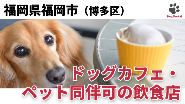 最新 福岡市博多区のドッグカフェ ペット可飲食店 9件