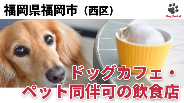 最新 福岡市西区のドッグカフェ ペット可飲食店 7件