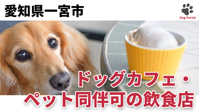 最新 愛知県名古屋市のドッグカフェ ペット可飲食店 185件