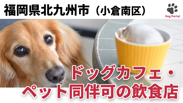 最新 北九州市小倉南区のドッグカフェ ペット可飲食店 3件