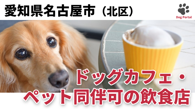 最新 名古屋市北区のドッグカフェ ペット可飲食店 10件