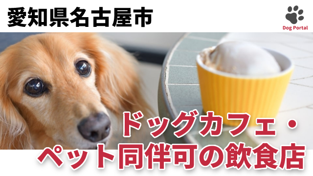 最新 名古屋市のドッグカフェ ペット可飲食店 150件