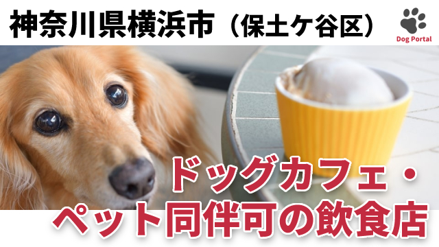 最新 横浜市神奈川区のドッグカフェ ペット可飲食店 21件
