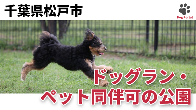 最新 千葉県松戸市のドッグラン ペット可公園 10件