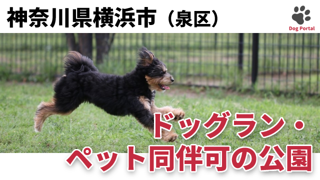 最新 横浜市泉区の動物病院 11件