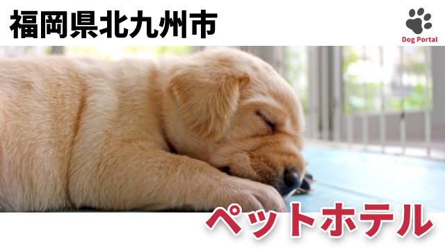最新 福岡県北九州市のドッグラン ペット可公園 17件